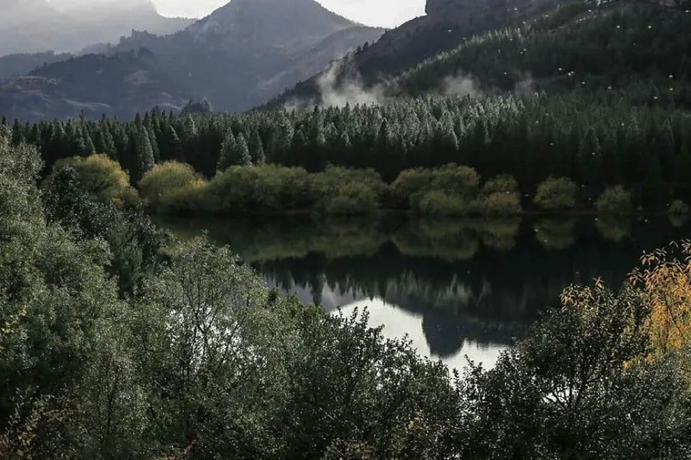 Bosque Andino Patagónico celebró su día: Cómo cuidar y preservar este patrimonio