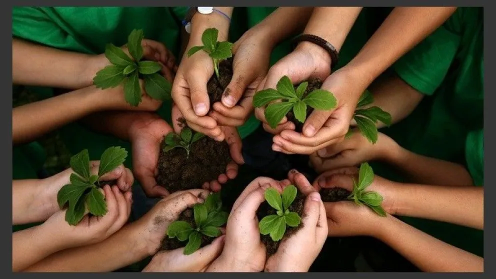 La Educación Ambiental Integral ya es ley: ¿qué implica esta nueva normativa?