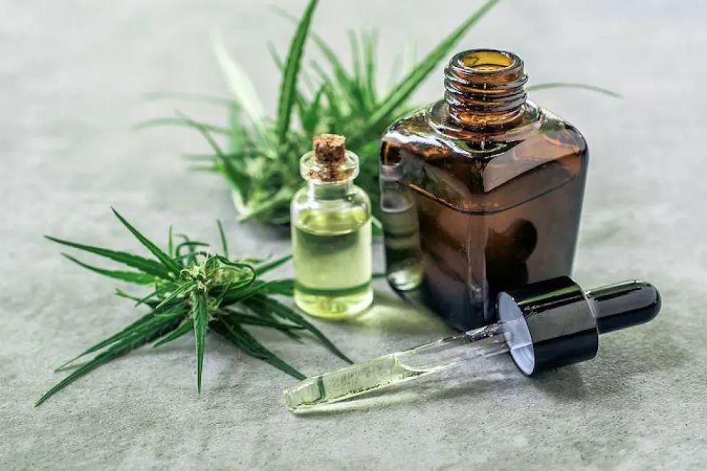 El Gobierno presentará proyecto para la industria del cannabis medicinal