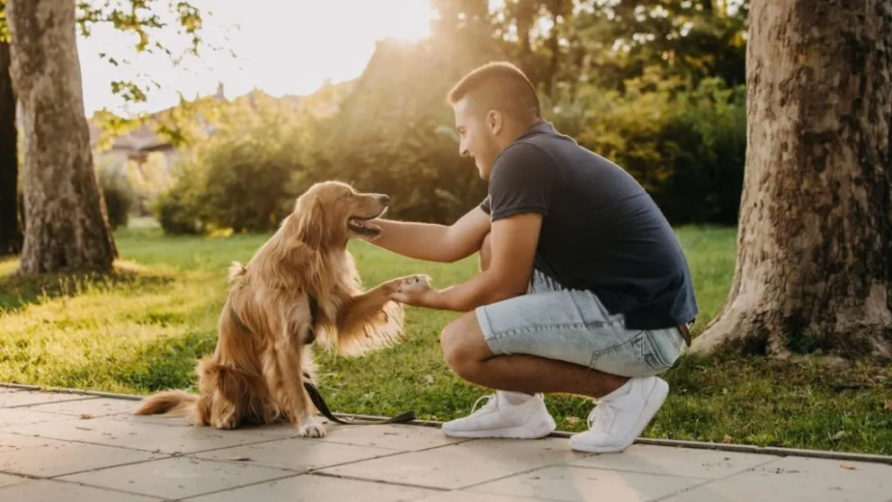 ¿Cuál es la mejor manera de actuar ante un perro que no conocemos?