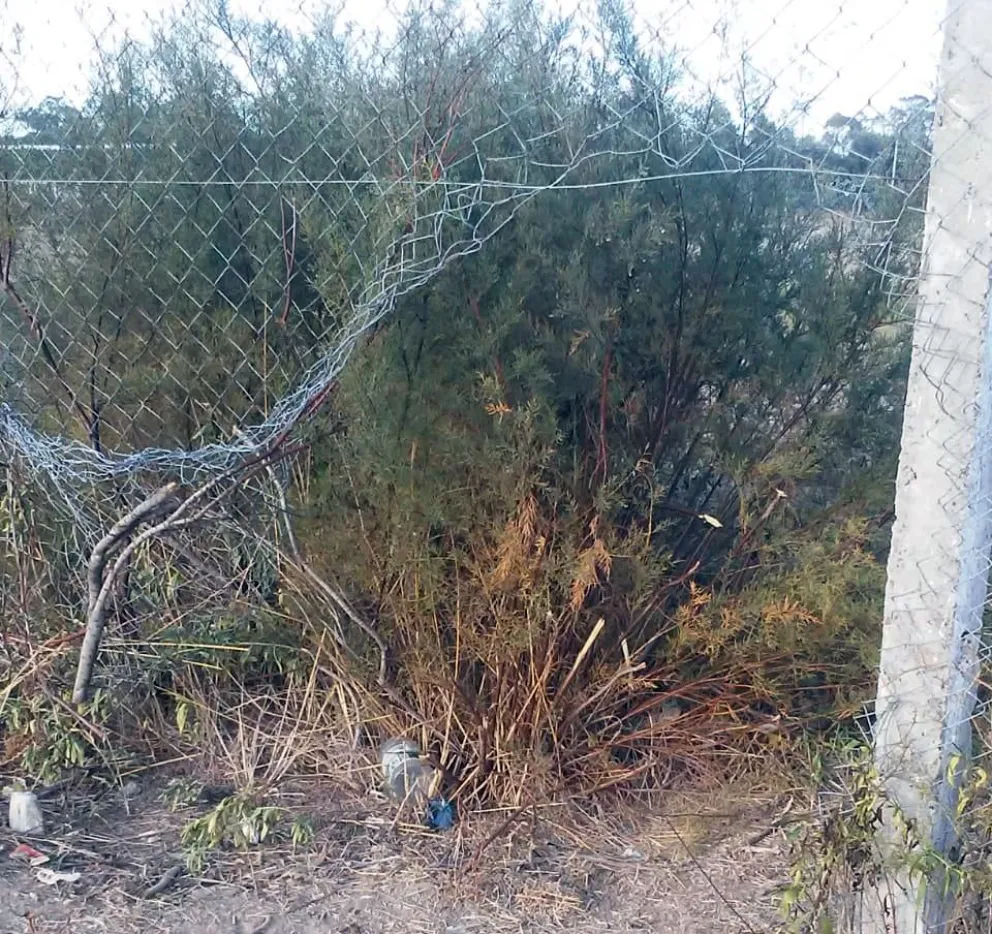 Vandalismo en el polideportivo de Patagones