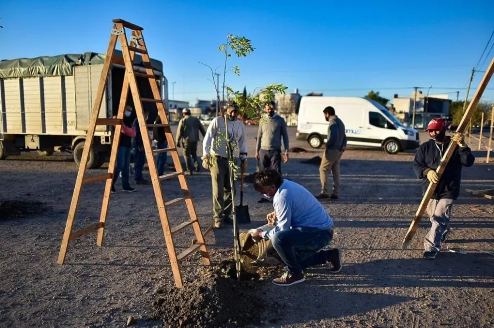 Viedma cuenta con un nuevo pulmón verde