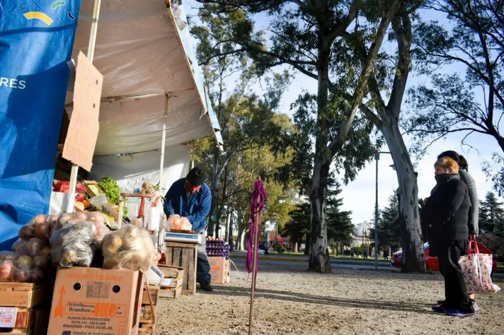 Los feriantes se reúnen con el Ejecutivo para analizar cómo trabajar en Fase 3