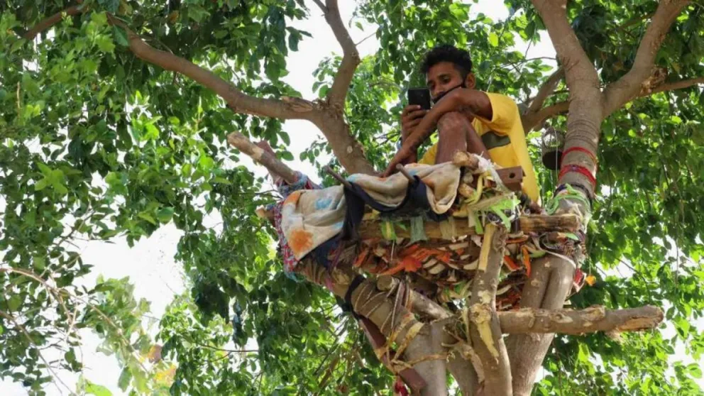 Vivió durante 11 días en un árbol para no contagiar a su familia de coronavirus