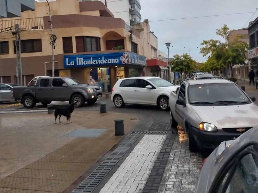 Comerciantes piden poder trabajar: "Debemos cargar el mayor peso de la pandemia"