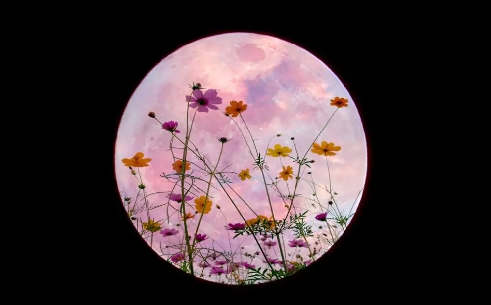 Superluna de las flores: así te afecta según tu signo del zodíaco