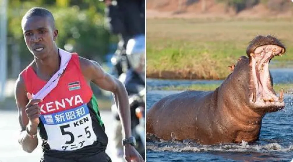 Atleta keniata de elite casi muere por el ataque de un hipopótamo