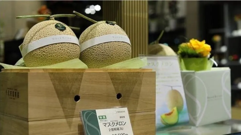 Subasta de locos: dos melones se vendieron en 25 mil dólares