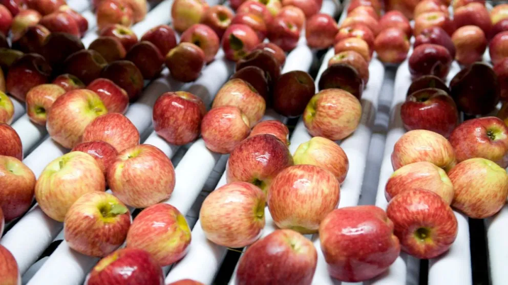 Para los chacareros, la inflación pone palos en la rueda a la producción