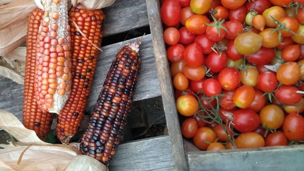 Socializan experiencias por soberanía alimentaria de la Norpatagonia