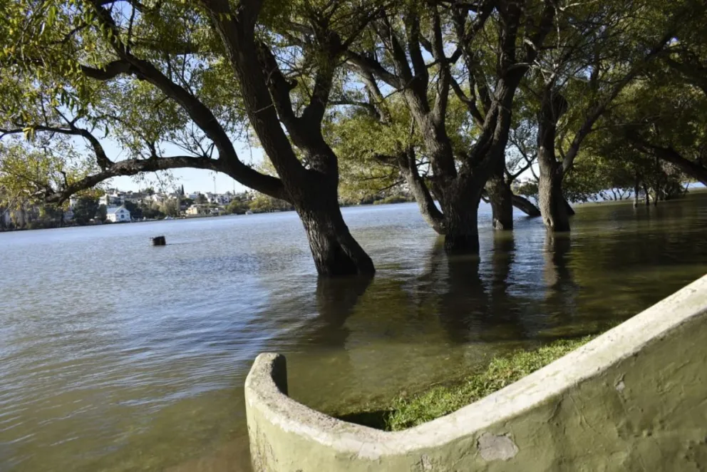 La altura del río todavía no genera riesgos en las viviendas ribereñas