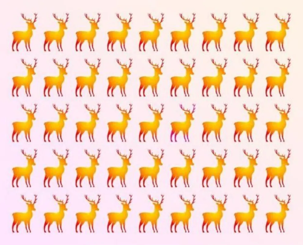 Buscá el reno distinto al resto de este acertijo viral