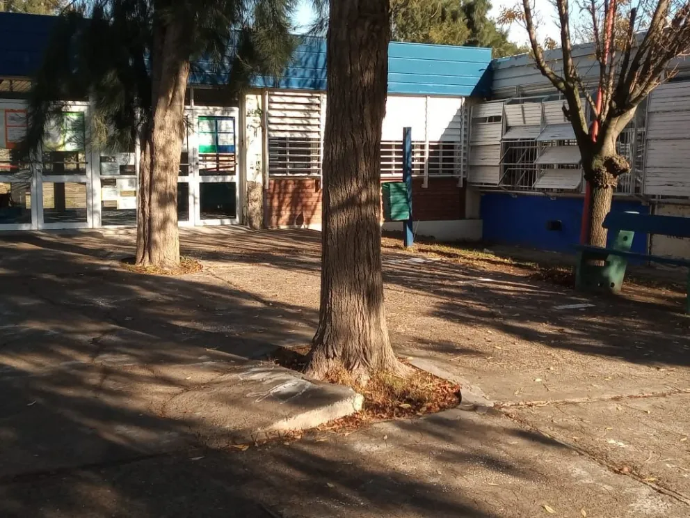 Duelo universitario: fallecieron tres personas del CURZA por Covid 19