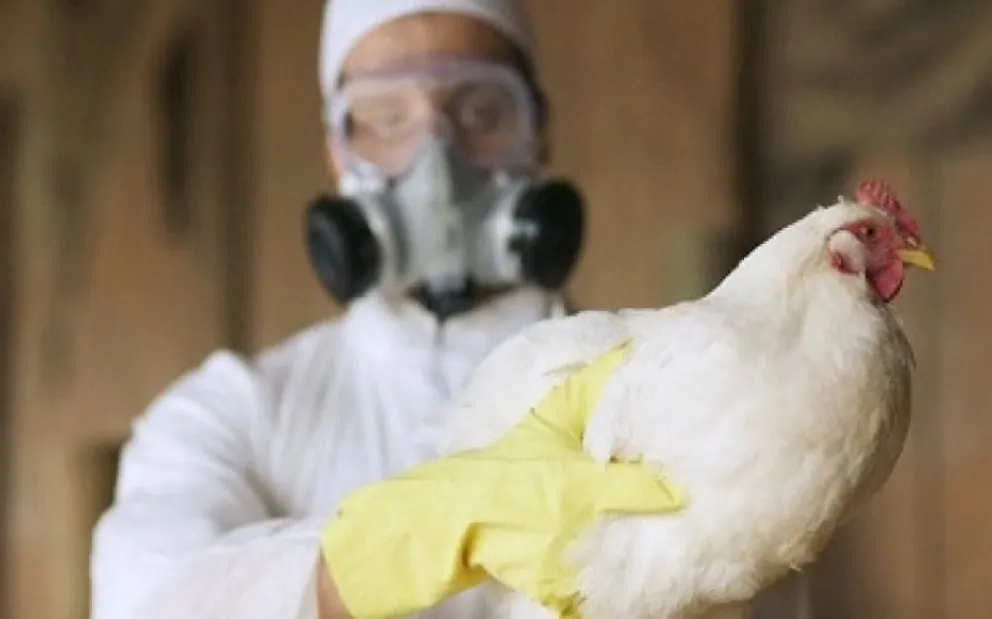 China registra el primer caso mundial de gripe aviar H10N3 en humanos