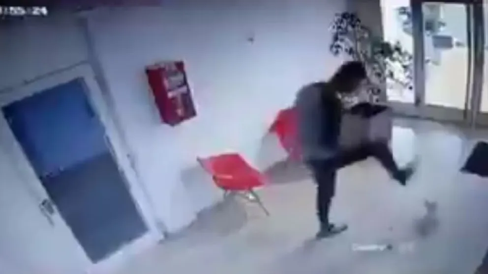 Indignación en las redes por el árbitro que golpeó salvajemente a un perro