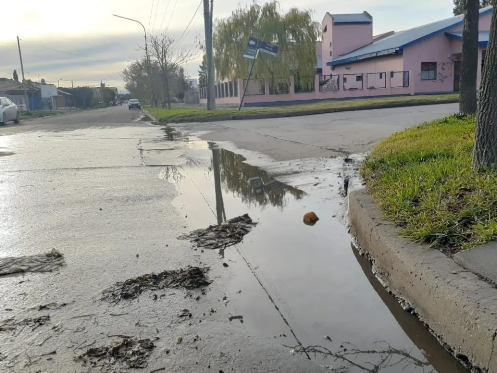 Están a metros de un jardín y conviven con olor a excrementos
