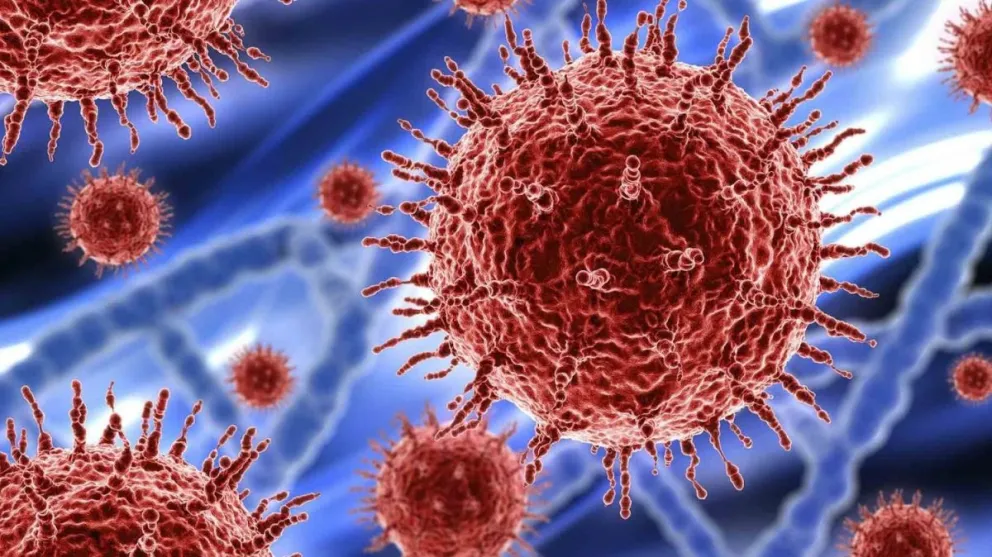 Coronavirus en Argentina: registraron 23.627 nuevos casos y 456 muertes