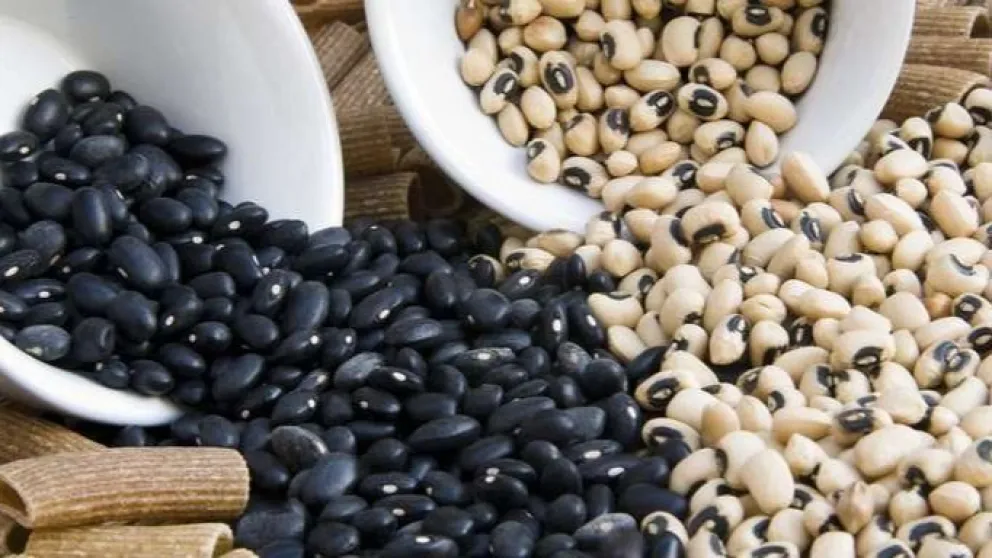 Científicas del CONICET buscan producir harina de porotos para nuevos alimentos