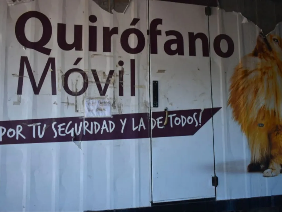 Para agendar: organizan campaña de vacunación antirrábica y desparasitación