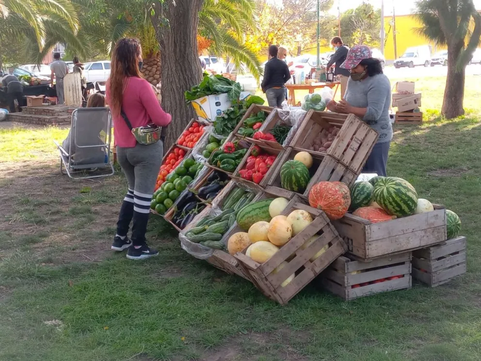 Reabre este jueves la feria agroecológica