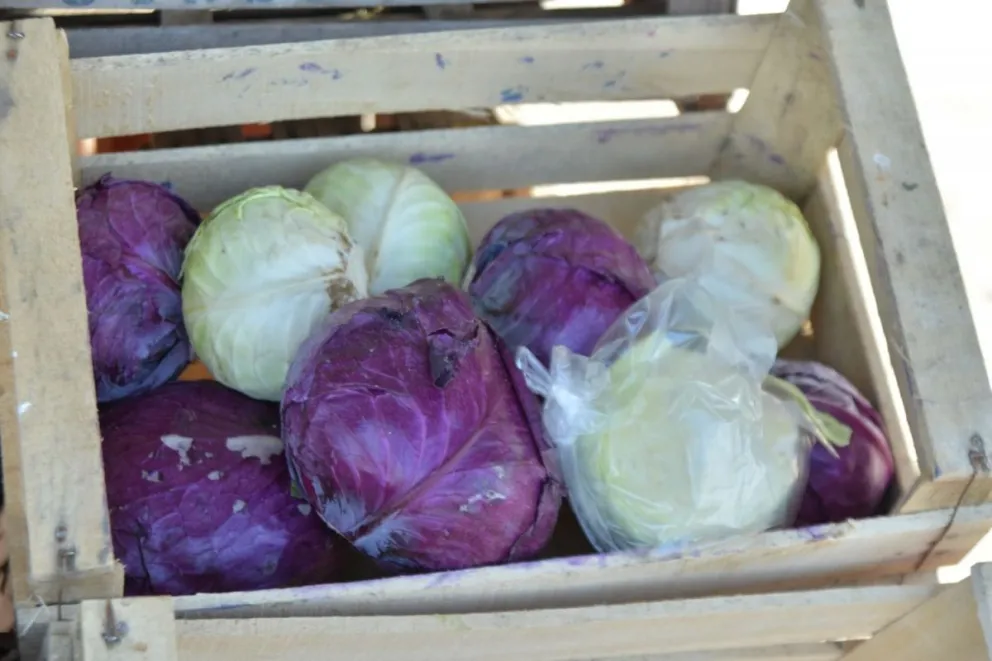 Cada vez son más las personas que eligen los productos agroecológicos