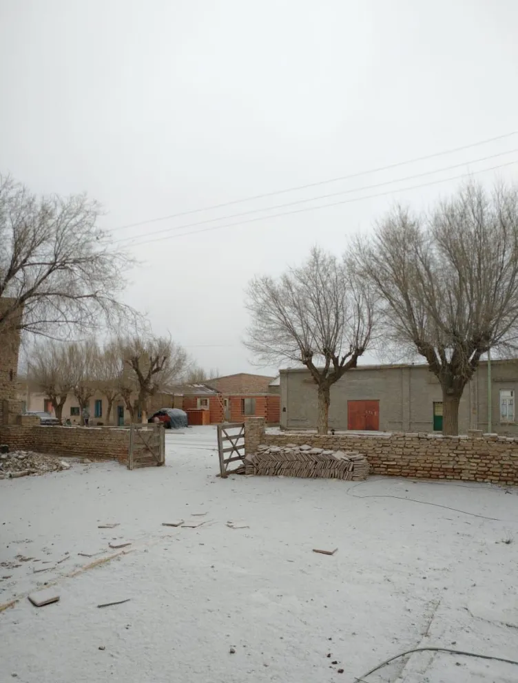 La nieve completó el paisaje invernal en la Línea Sur