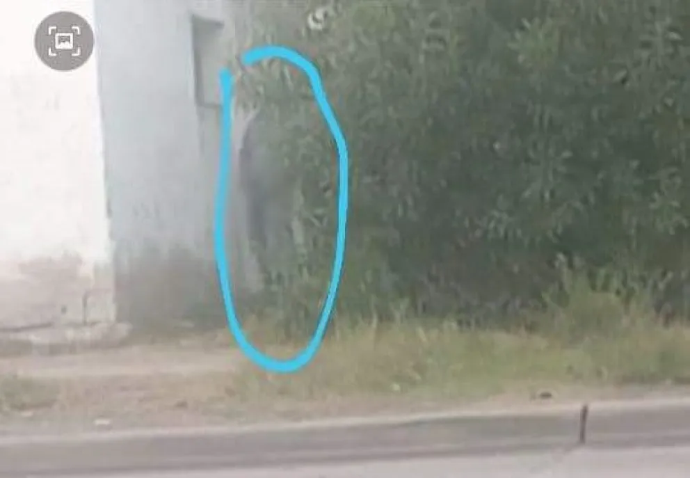 Depravado se masturbó cerca de una parada de colectivos