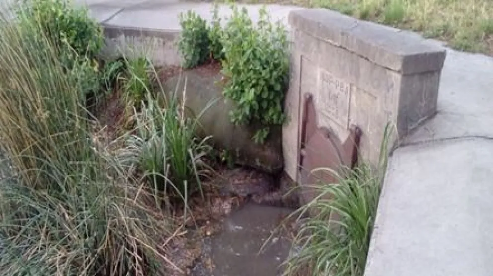 Por varios lugares se escurre la basura al río en Patagones, denuncian vecinos