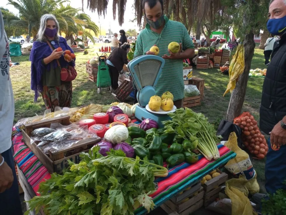 Pese a la merma en la producción, sigue la oferta de verduras agroecológicas
