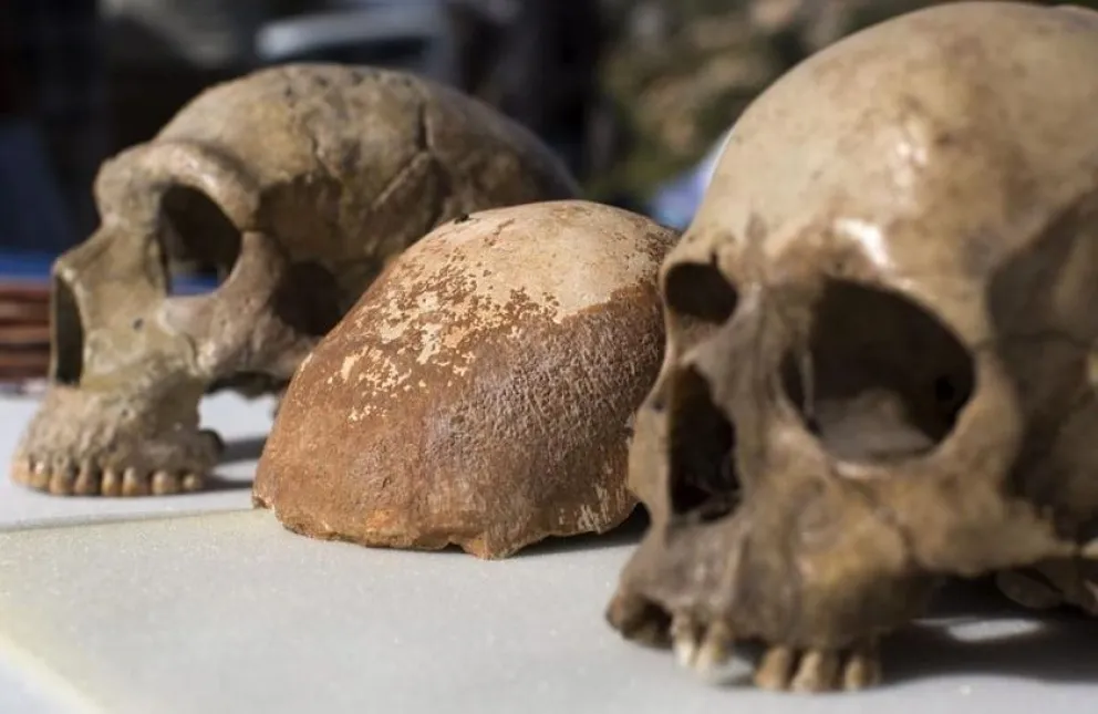 Científicos descubren una nueva especie humana en Israel