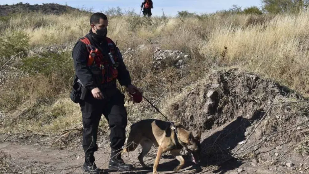 Caso Guadalupe: una perra marcó una casa y una posible mancha de sangre
