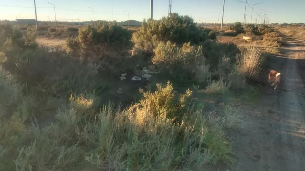 Cargan contra los “roñosos” que tiran basura en los baldíos del barrio Jardín