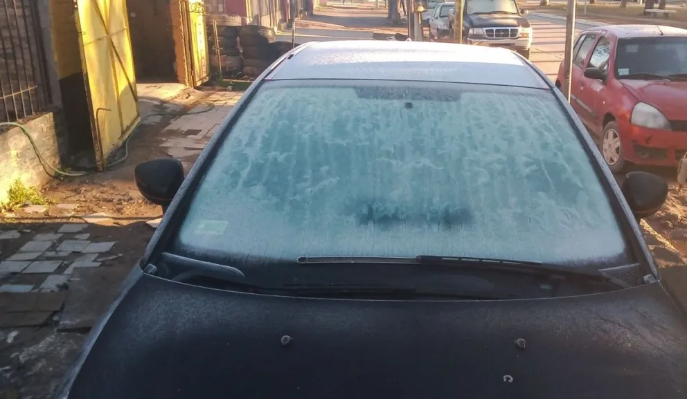 Faltaron los osos polares: Todo lo que quedó en la calle se vistió de blanco