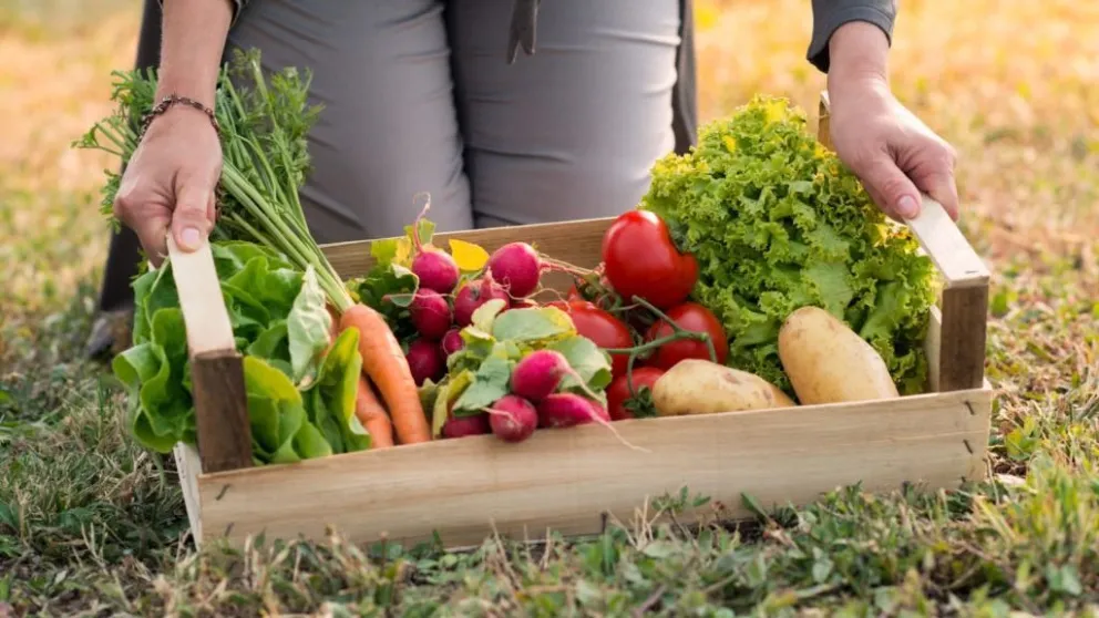Huerta en casa: esto podrías cultivar para consumir vitamina A orgánica