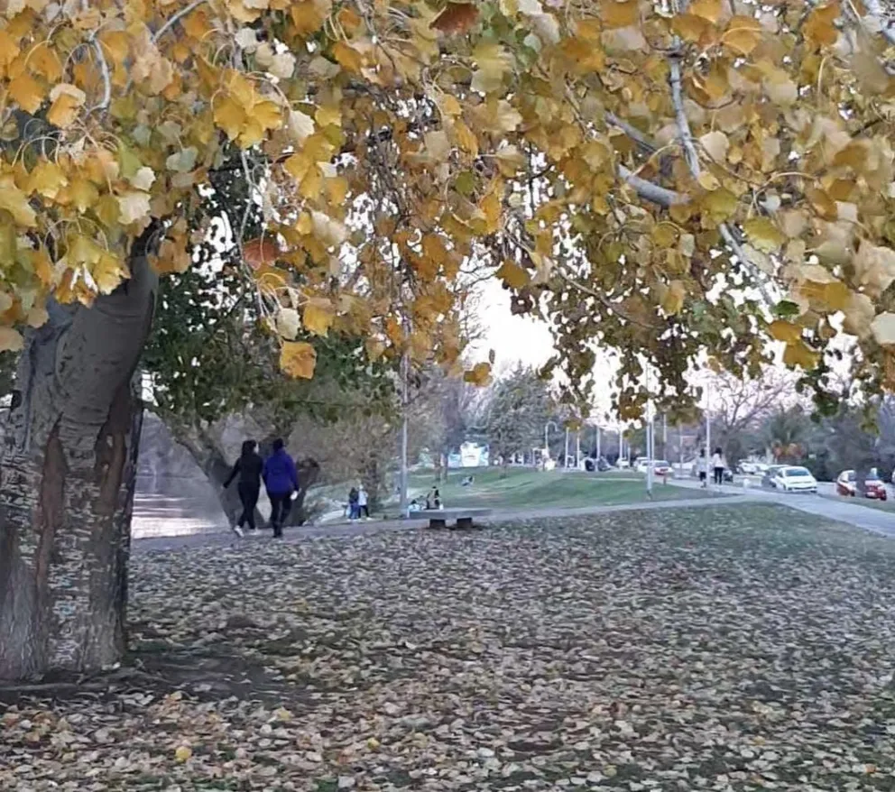 Viedma seguirá con un cálido invierno