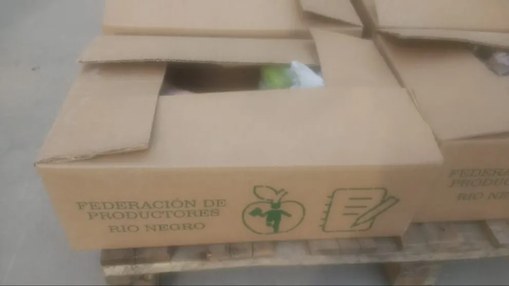 Chacareros defienden  la calidad de alimentos que van a las escuelas