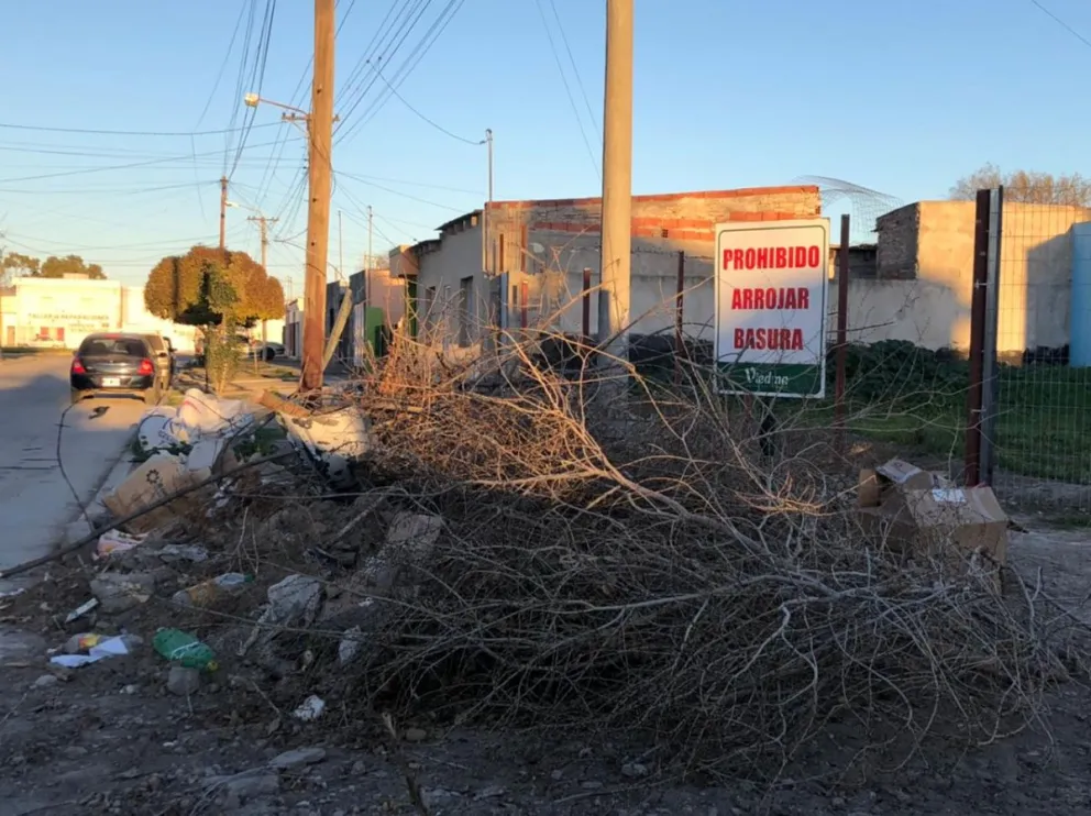 Sucios y desprolijos: cada vez son más los basurales a cielo abierto en Viedma
