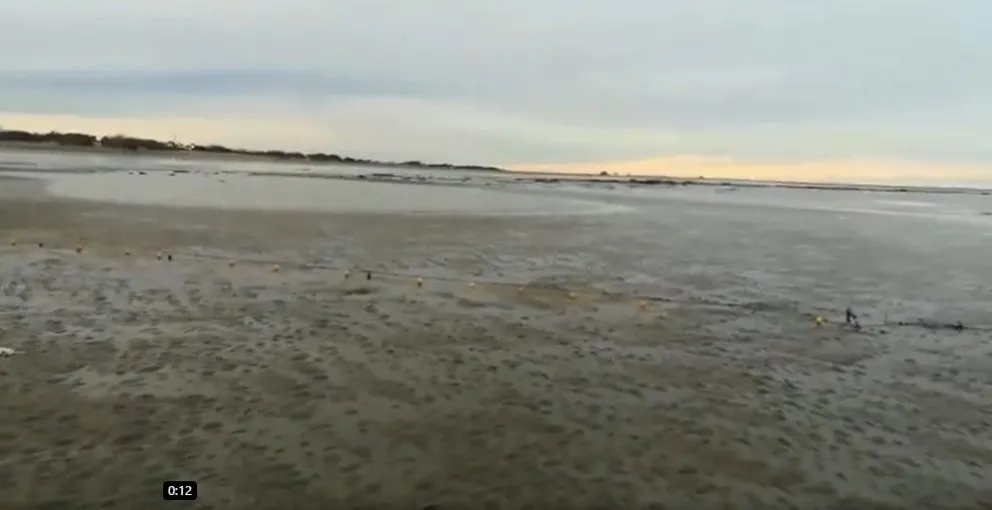 Revuelo en El Cóndor por la aparición de un trasmallo en la costa