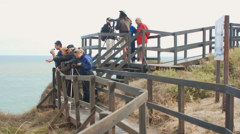 Los balcones están a mano para disfrutar del santuario de lobos y orcas