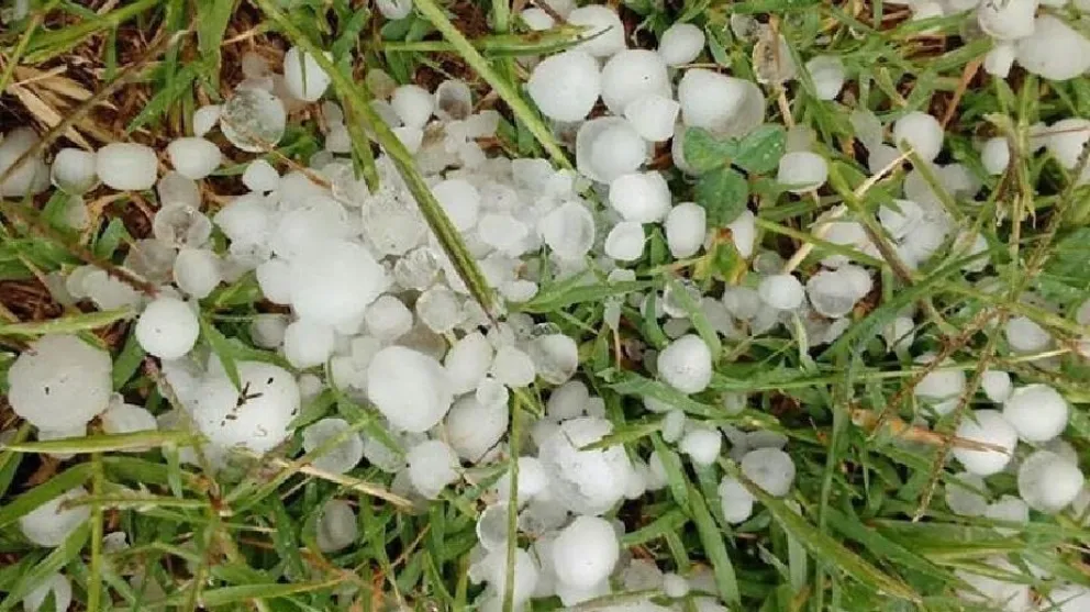 Declaran la emergencia agropecuaria por lluvias y granizo