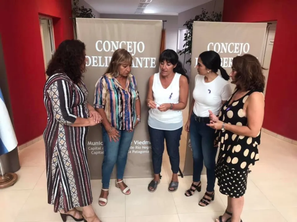 Concejalas repudian "toda forma de violencia hacia mujeres"