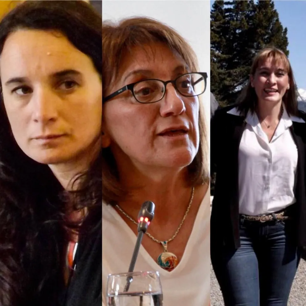¿Quiénes serán los candidatos rionegrinos al Congreso en 2021?