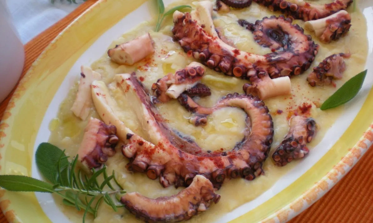 Recetas fáciles y rápidas para comidas con pulpo | NoticiasNet -  Informacion de Rio Negro, Patagones y la costa.