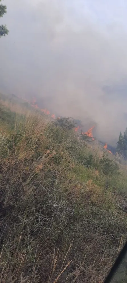 Nuevo y gran incendio de pastizales en un campo de la ex ruta 3
