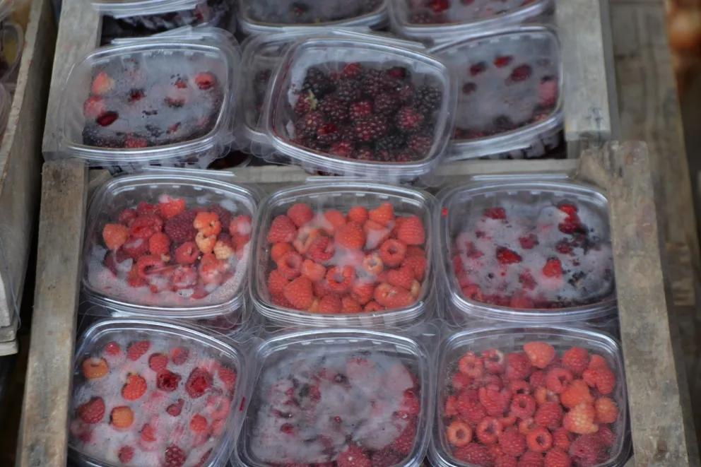 Vuelve la feria agroecológica con productos de la huerta local