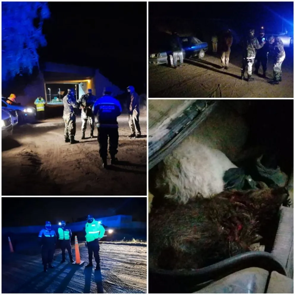En operativo control, la Policía Rural decomisó 25 liebres y un chancho jabalí