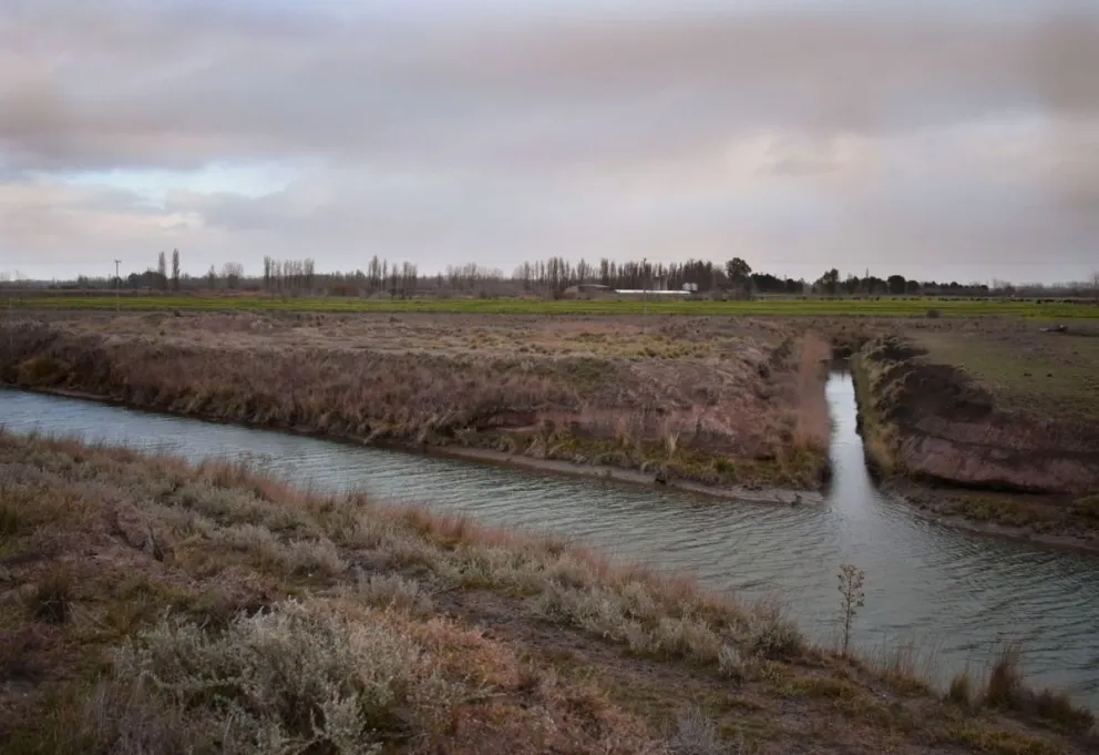 Nueva incursión de cuatreros en la zona rural de Viedma