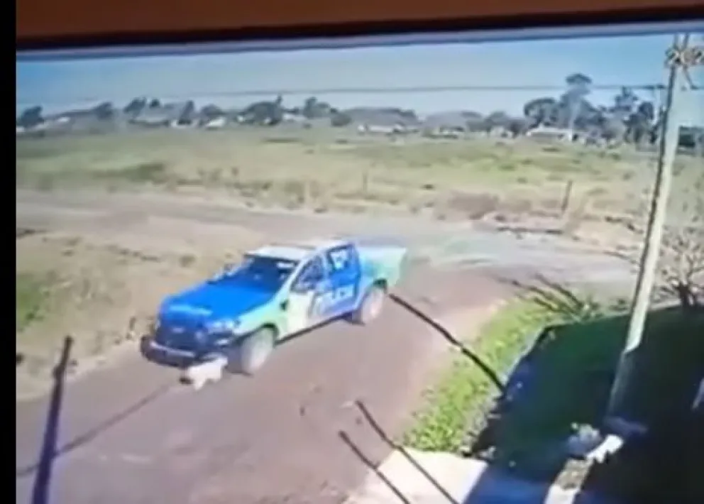 Un horror: policías atropellaron intencionalmente a un perro y lo mataron