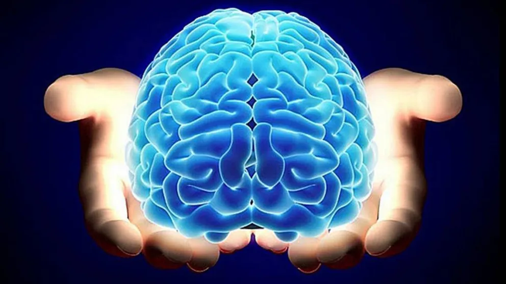 Día Mundial del Cerebro: 10 datos sorprendentes sobre el cerebro y la mente