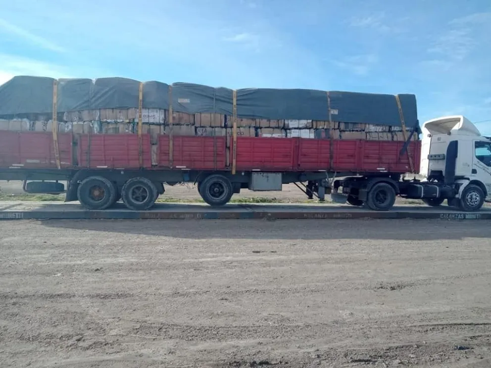 Conciencia ambiental: casi 13 toneladas de plástico fueron recicladas